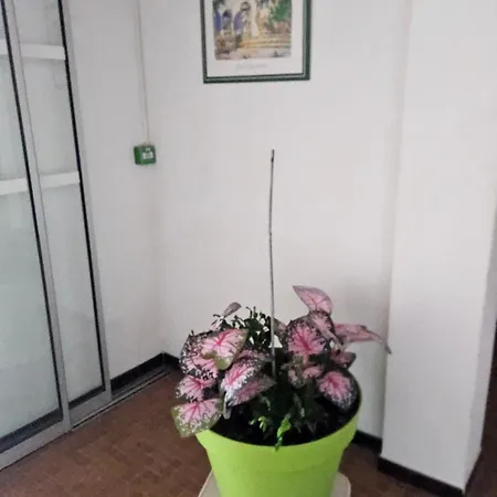 Le Vistaero Vue Parking Prive Balcon *