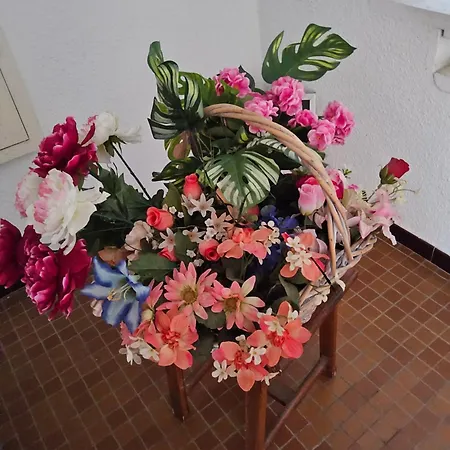 公寓 Le Vistaero Vue Parking Prive Balcon